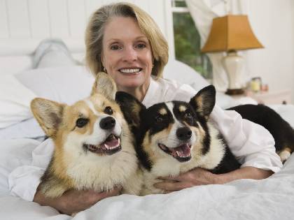 can-you-have-pets-in-low-income-housing